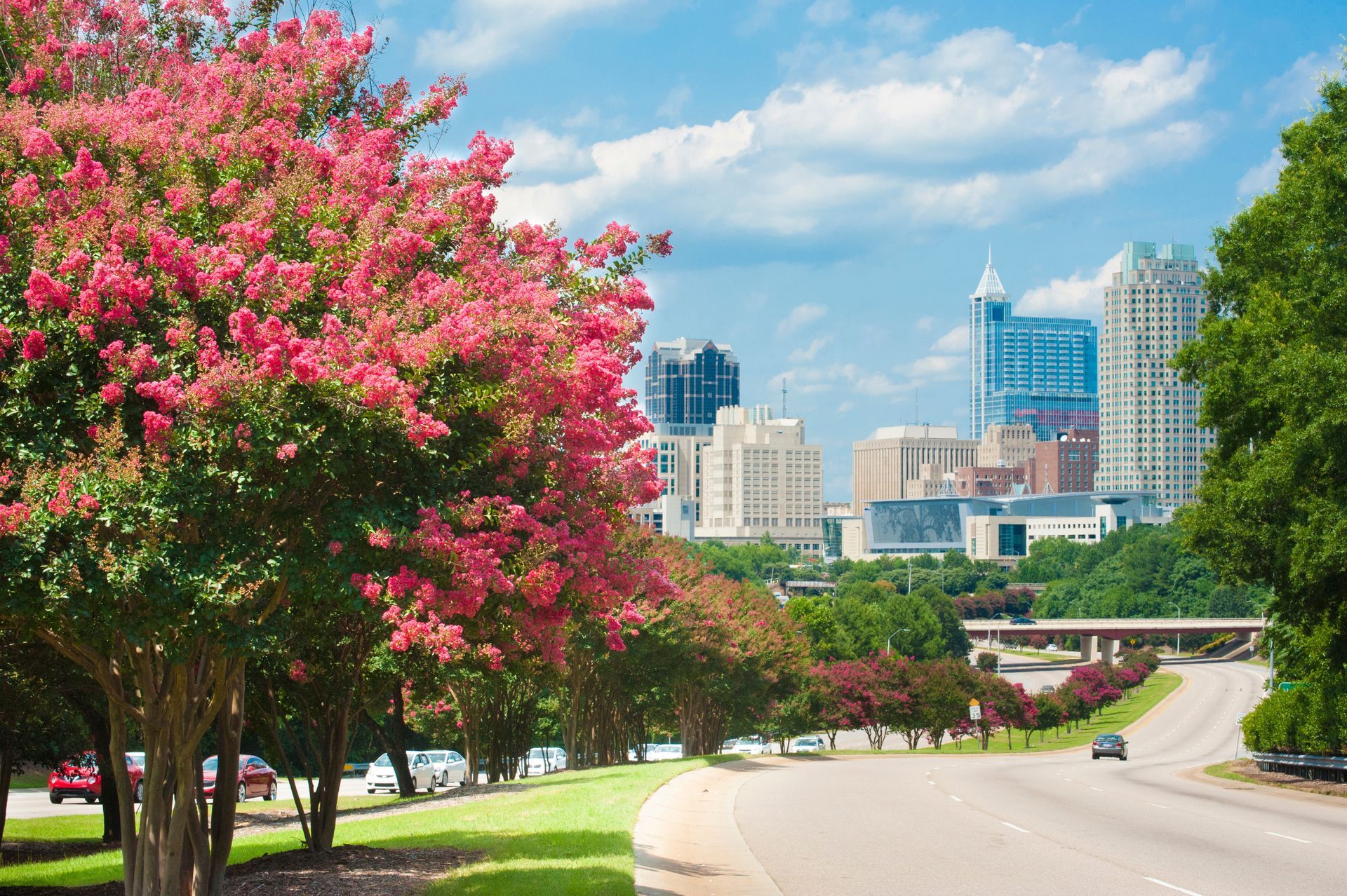 A street with trees and flowers on the side of it and a city in the background.