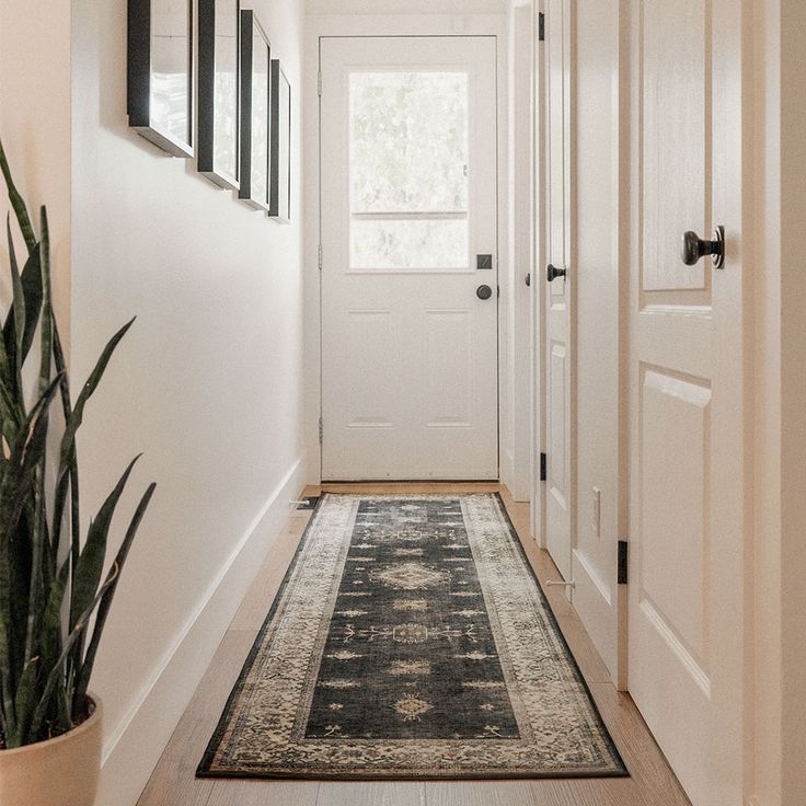 A hallway with a rug and a plant in a pot.