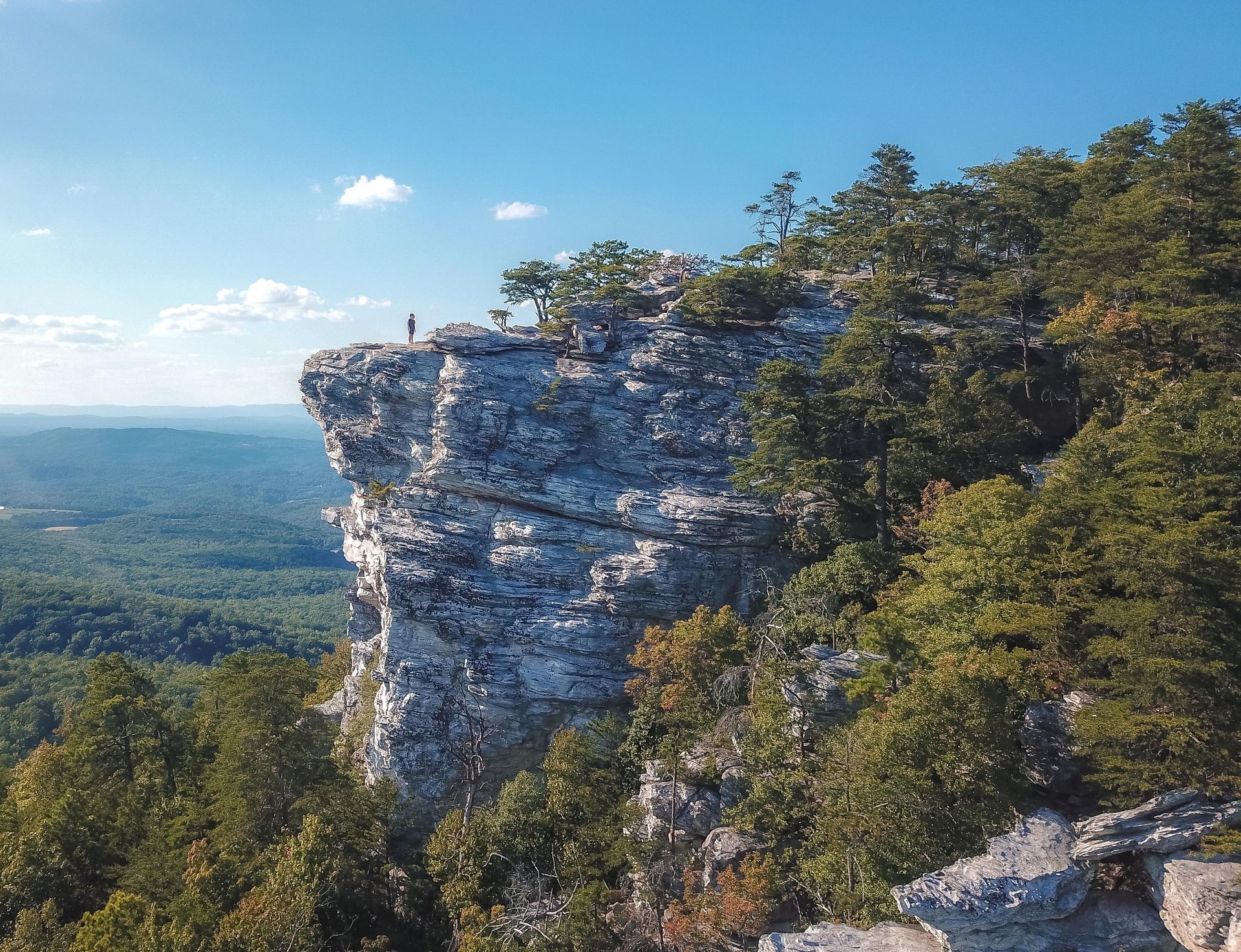 A person is standing on top of a rocky cliff surrounded by trees.