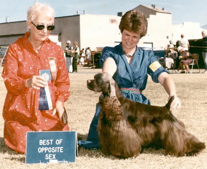 A woman holding a  Cocker Spaniel that just won best of show at a competition.