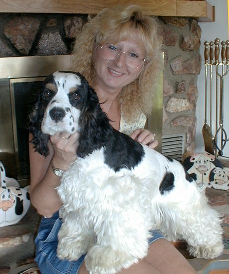 A woman is holding a black and white cocker spaniel