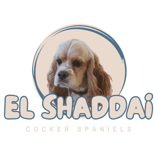 A cocker spaniel is featured on the el shaddai cocker spaniel logo