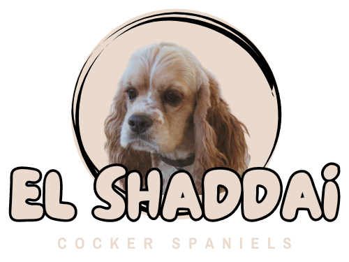 A cocker spaniel is featured on the el shaddai cocker spaniel logo