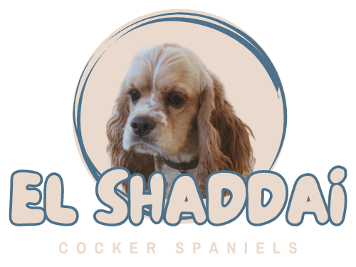 A cocker spaniel is featured on the el shaddai cocker spaniel logo