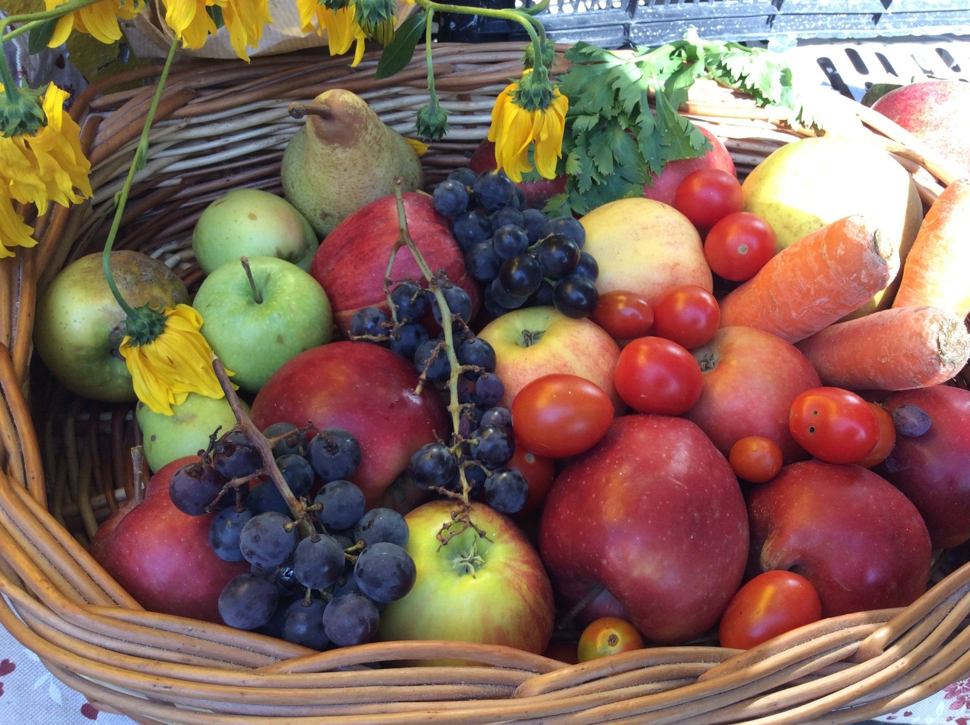 cesto con mele e uva