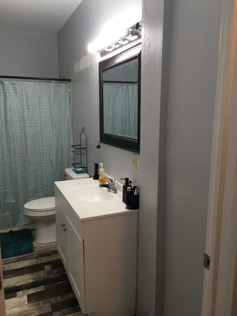 A bathroom with a toilet , sink , mirror and shower curtain.