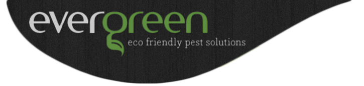 a logo for evergreen eco friendly pest solutions