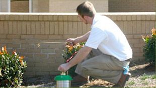 a man is kneeling down in front of a brick wall spraying a plant .