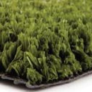 A close up of a piece of green grass on a white surface.