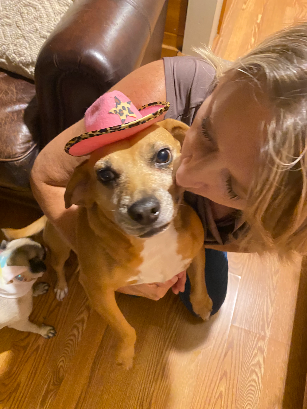 Woman kissing a dog wearing a pink cowboy hat. Another dog in the background.