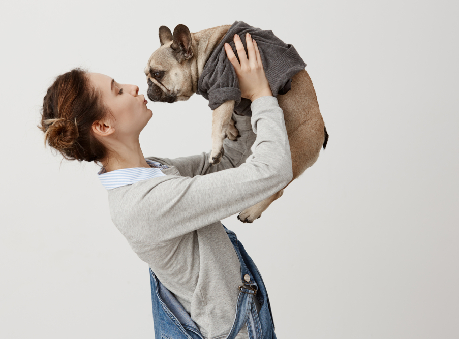 Woman holding a French bulldog wearing a sweater, leaning in for a kiss, white background.