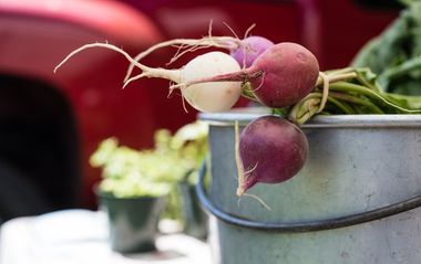 Onions in a basket — Fresh produce in Deptford, NJ