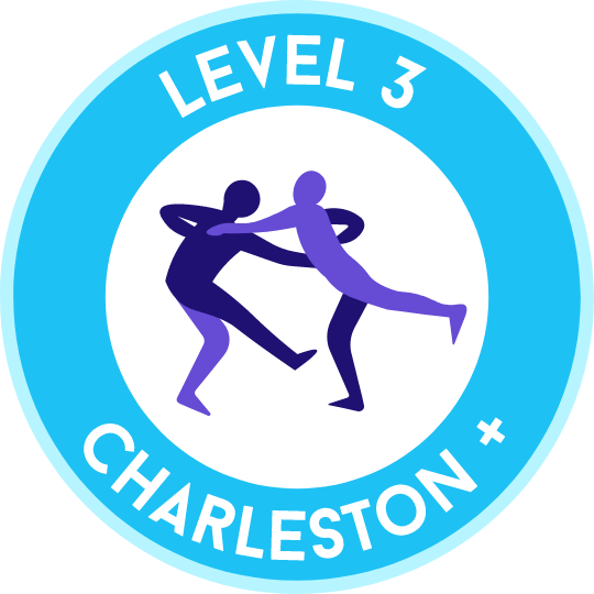 Level 3 (Charleston +)