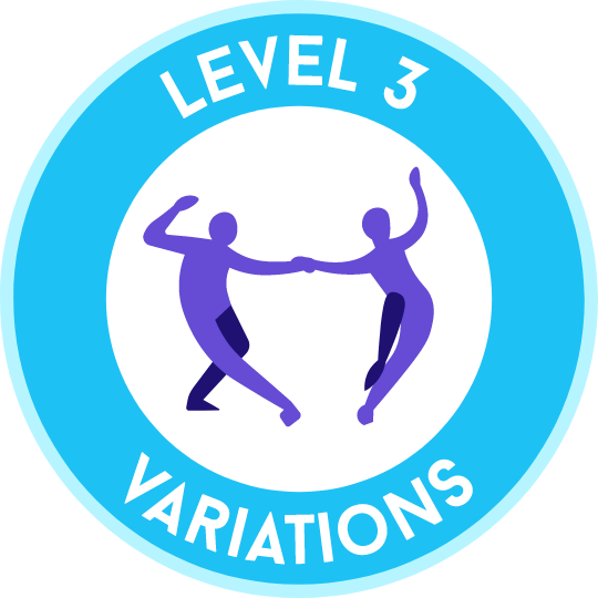 Level 3 (Variations)