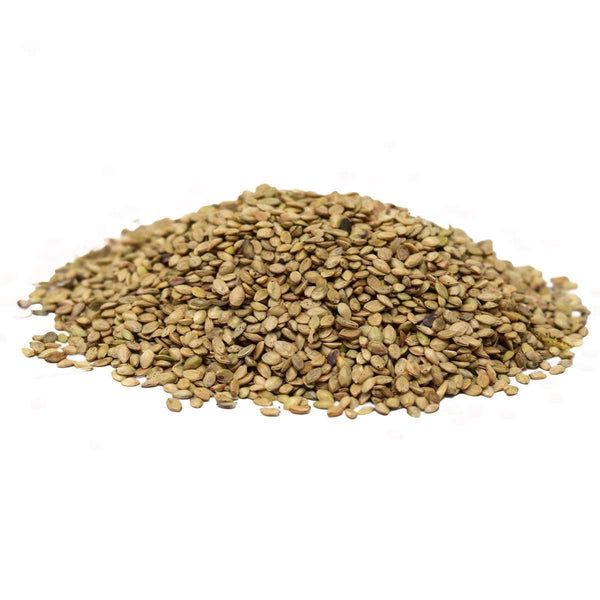 TifQuik Bahia Grass seeds isolated in white background