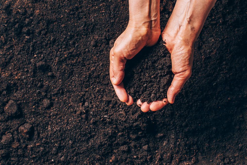 hands holding dark moist soil