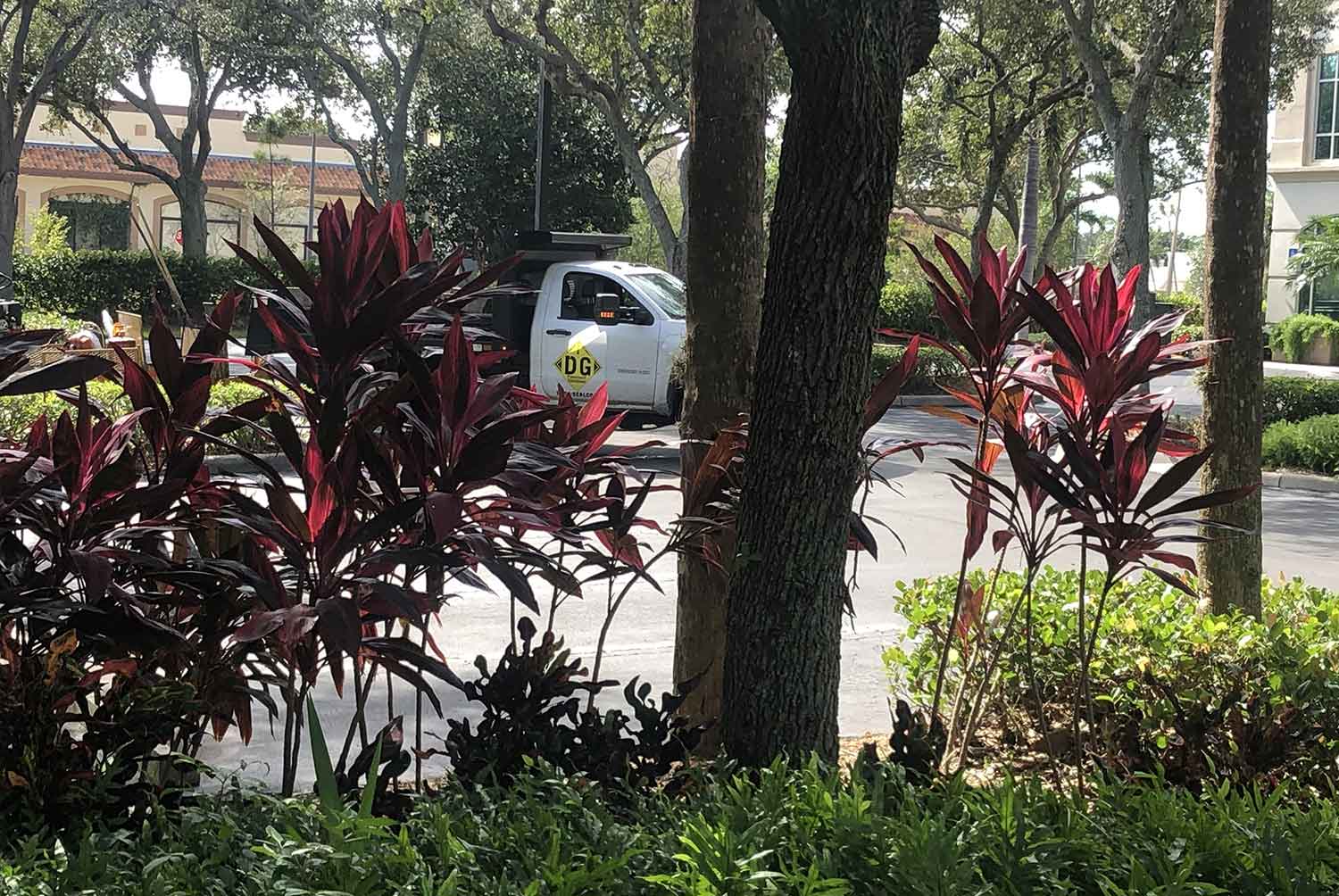 A white truck is parked in a parking lot surrounded by trees and plants.
