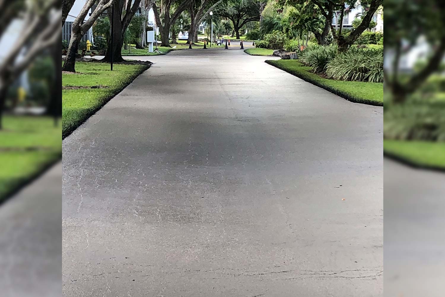 A concrete driveway leading to a house with trees on both sides.