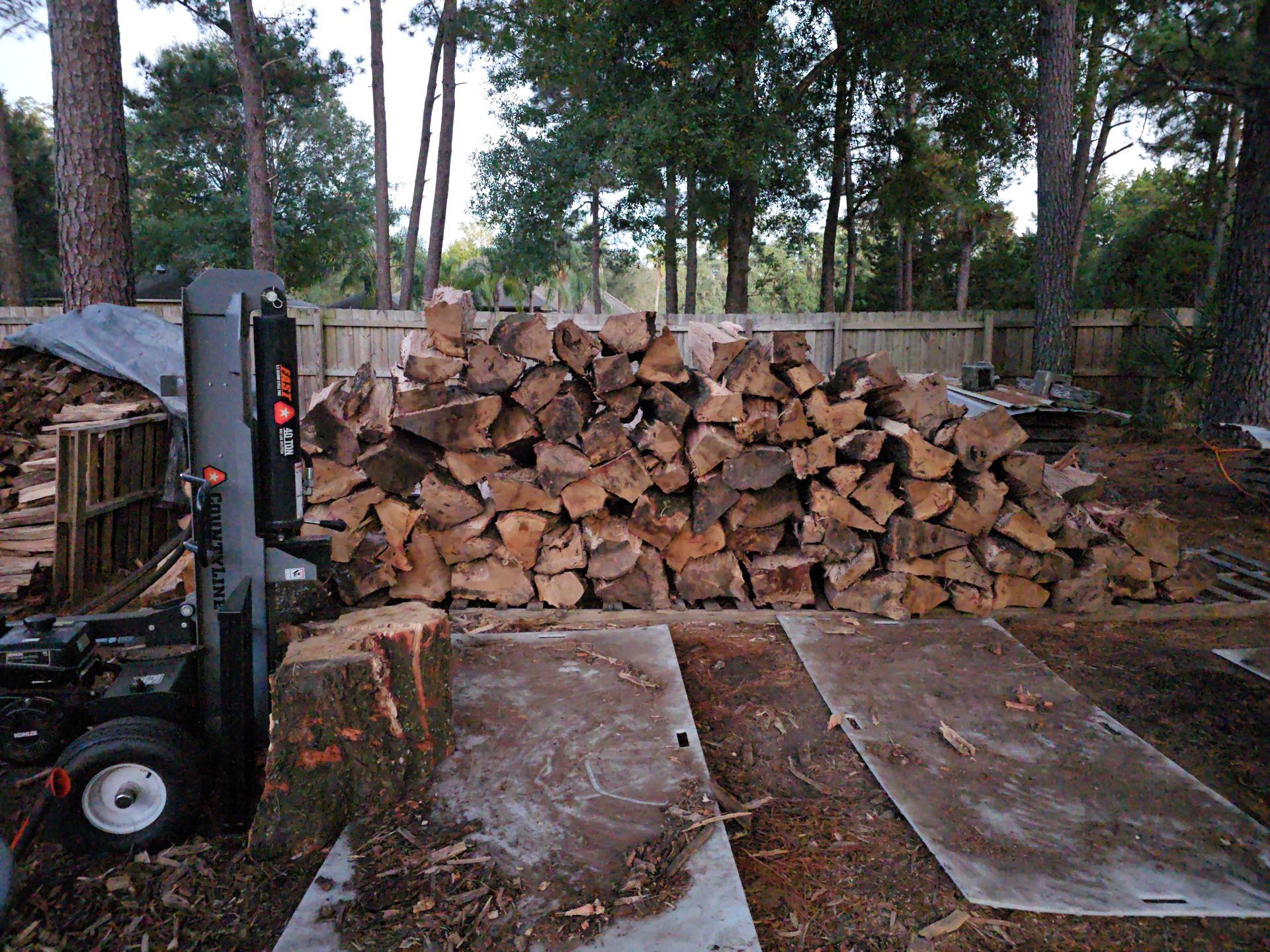 Professional tree remover taking down the cherry tree - Fleming Island, FL - Duce Tree Service Professional tree remover taking down the cherry tree - Fleming Island, FL - Duce Tree Service