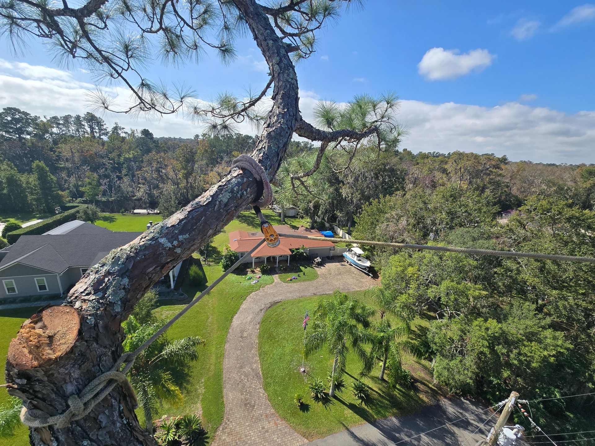 Gardener trims lengthy tree with cutter - Fleming Island, FL - Duce Tree Service Gardener trims lengthy tree with cutter - Fleming Island, FL - Duce Tree Service