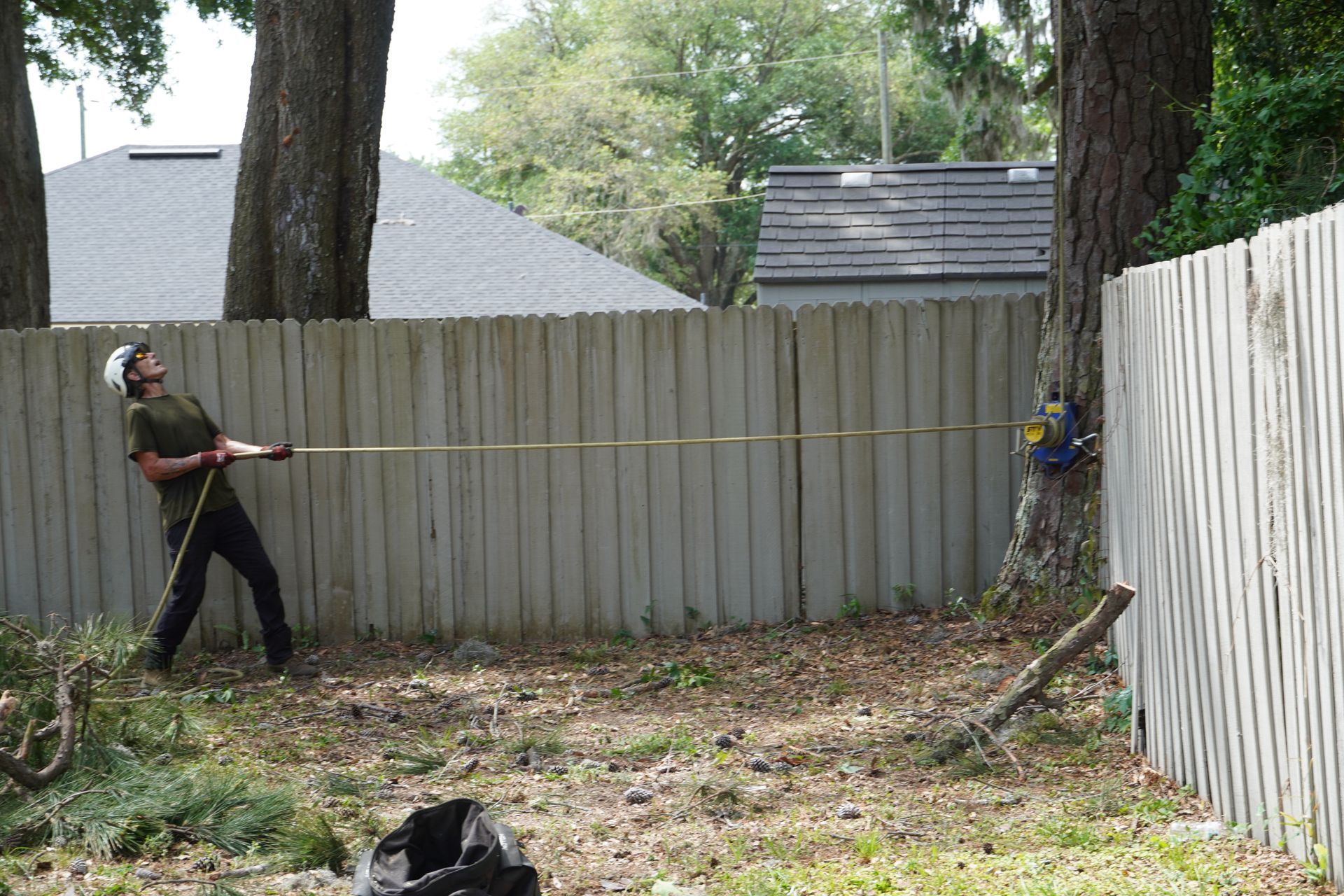 Man pulling a rope attached to a tree trunk near a fence, likely felling it.