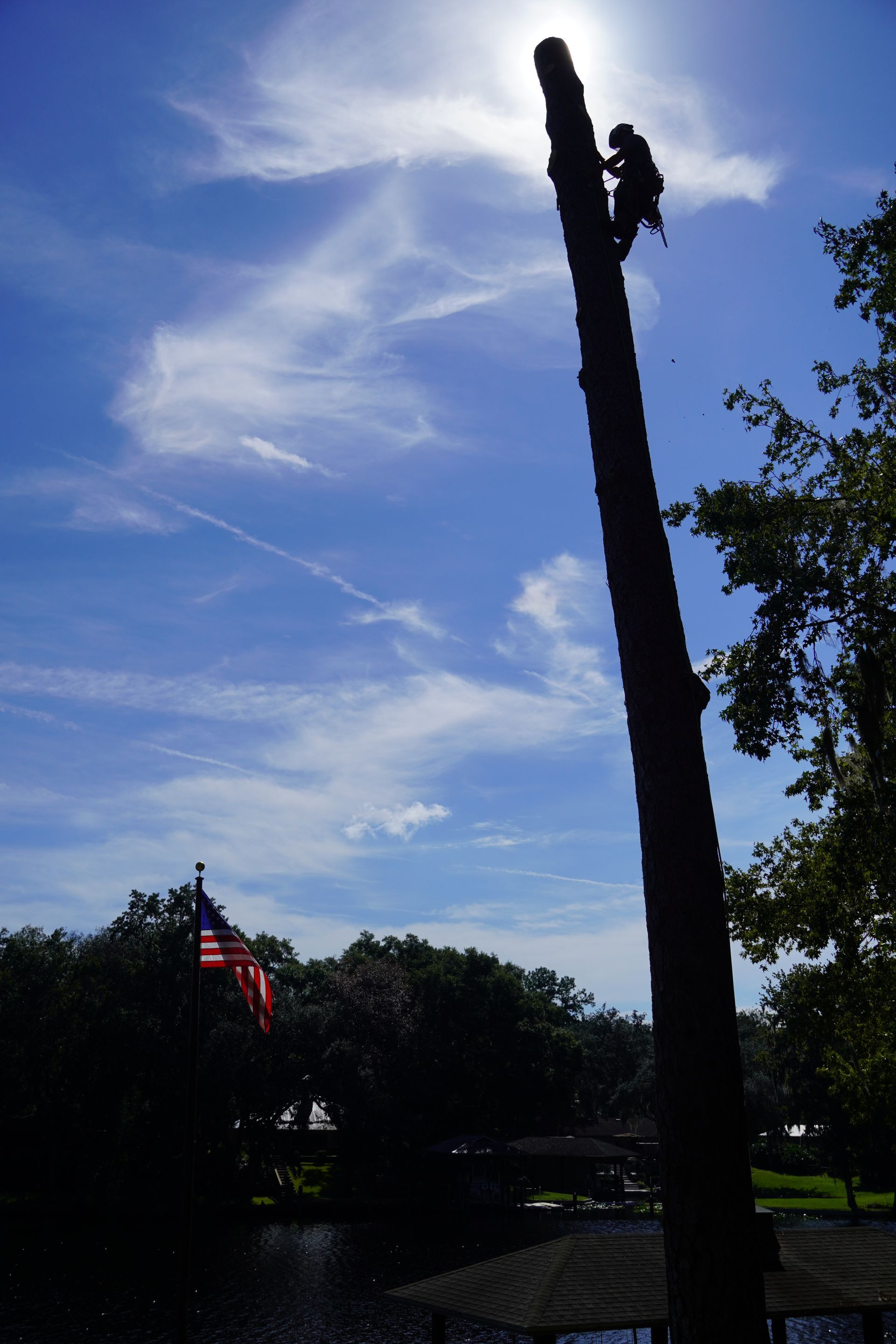A worker on a tall tree trunk silhouetted against a bright sky, American flag in background.