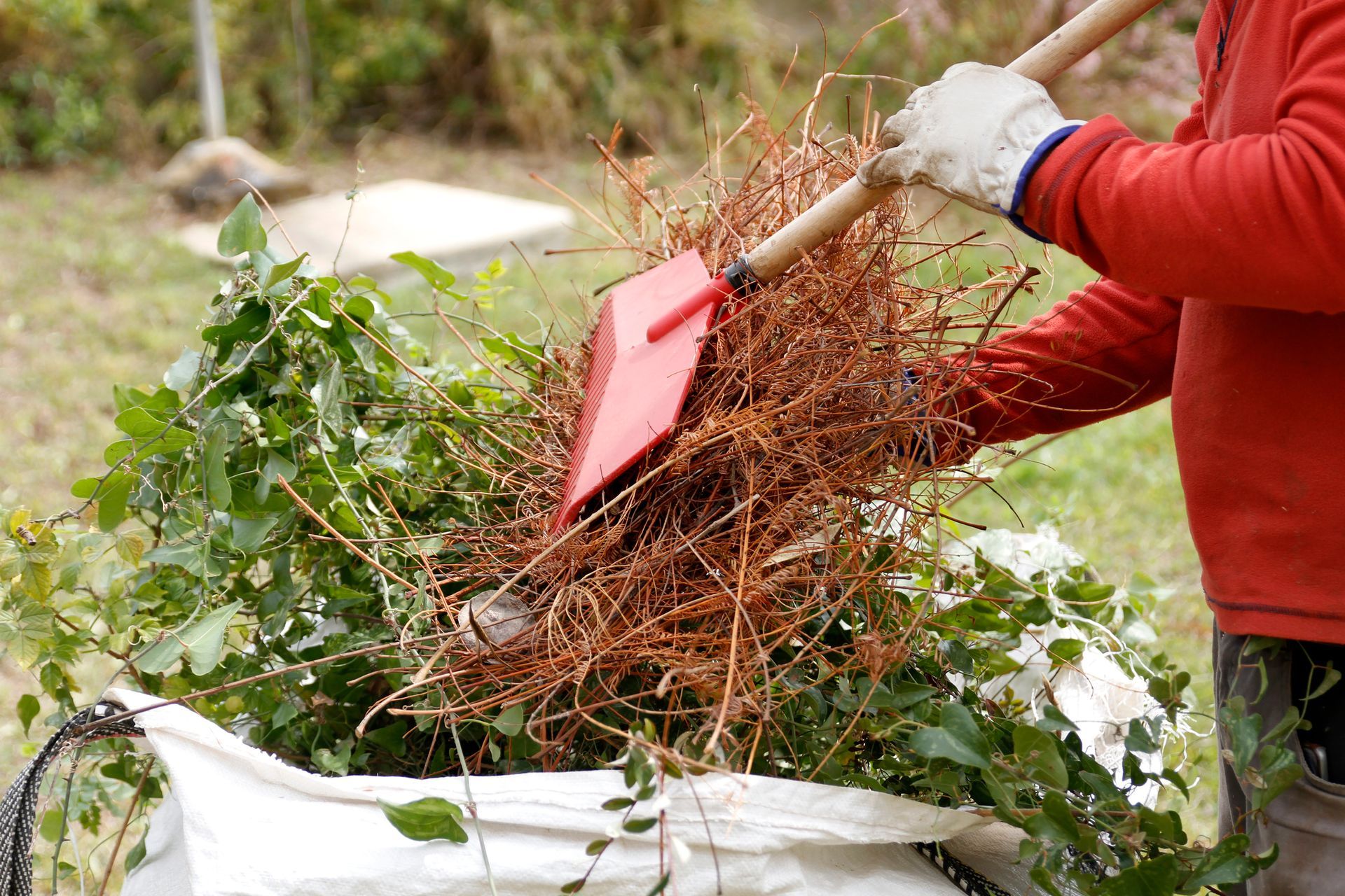 Close-up of a man gardening - Fleming Island, FL - Duce Tree Service