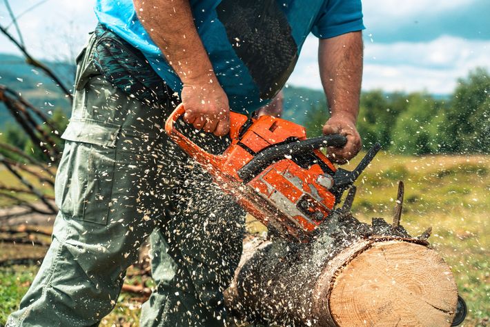 Man sawing a tree with a chainsaw - Fleming Island, FL - Duce Tree Service