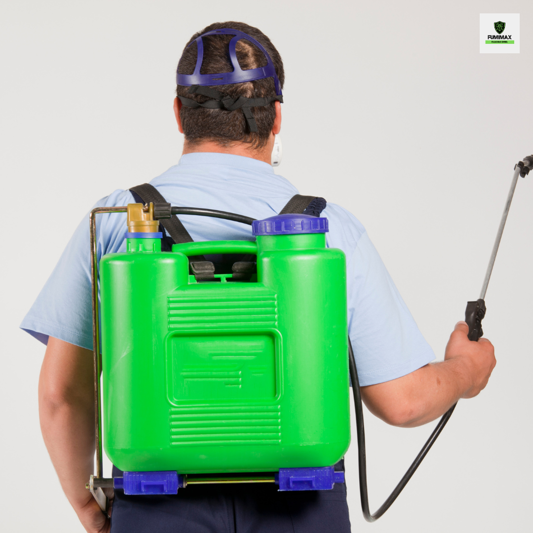 desinfección de casas