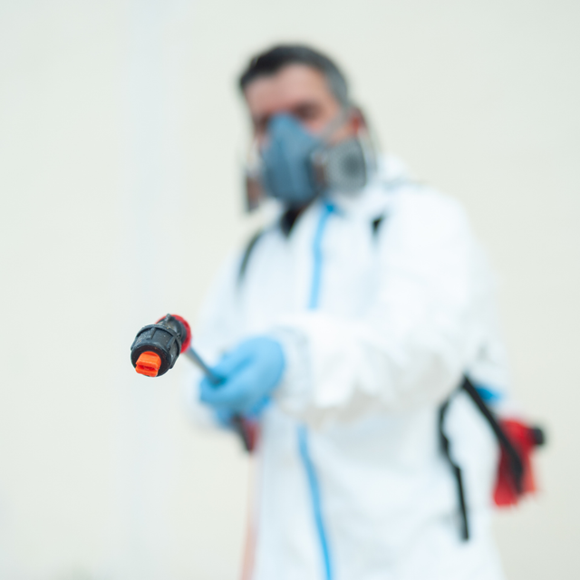 fumigaciones en cocoyoc