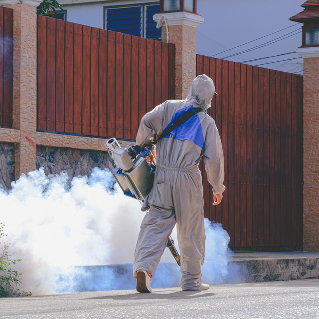 Fumigación de escuelas