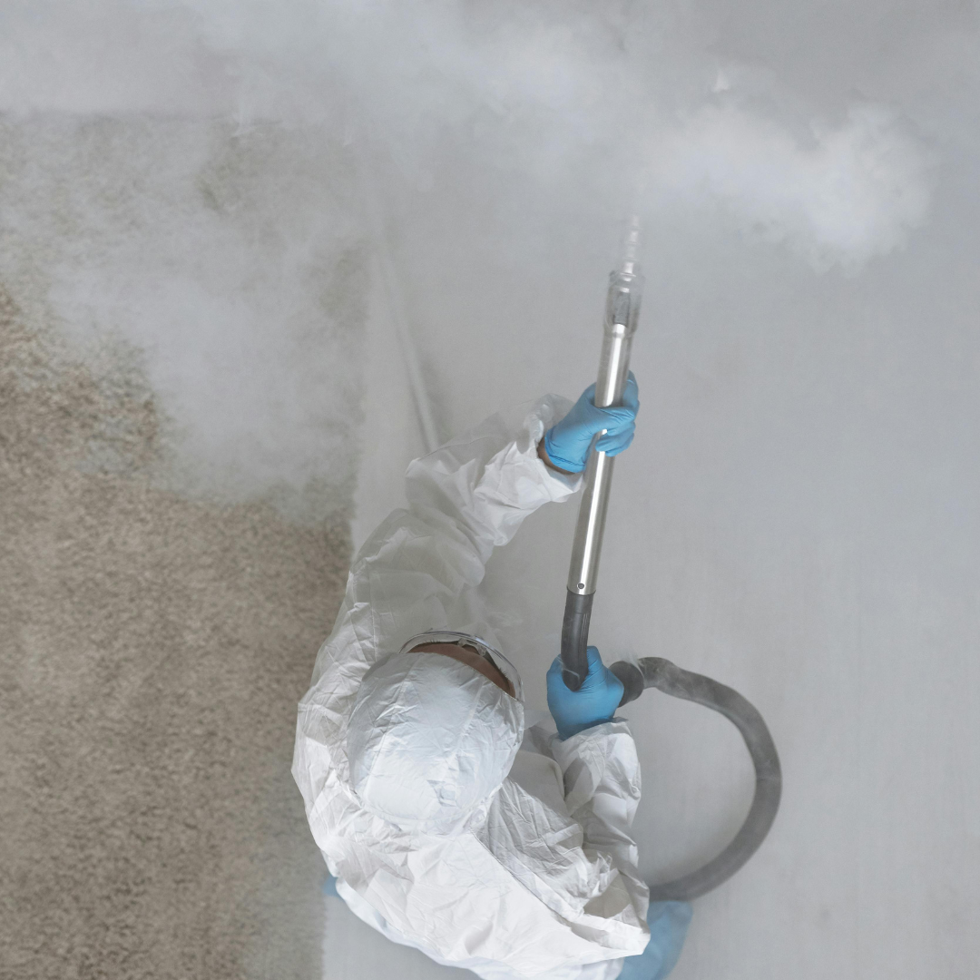 Fumigacion de restaurantes
