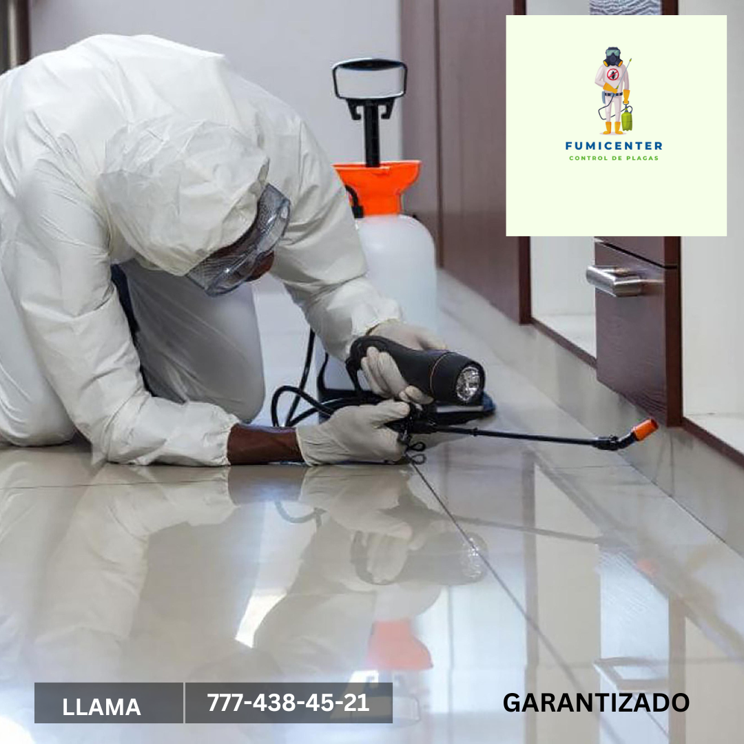 Fumigación de oficinas