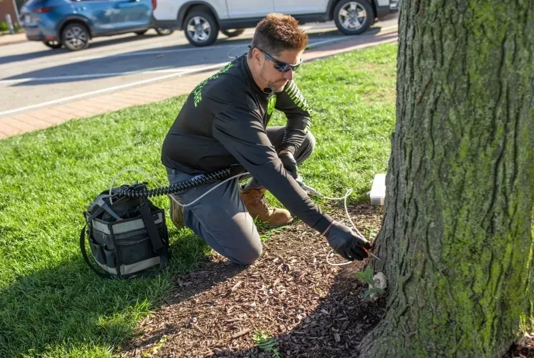 Aerial view of a truck with a raised boom trimming a tree in a residential neighborhood.