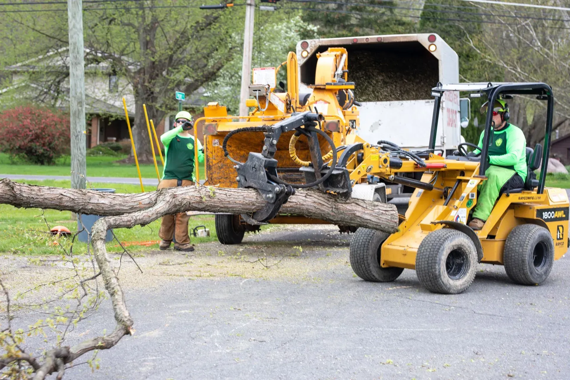 Two workers using machinery to feed a tree branch into a wood chipper on a street.