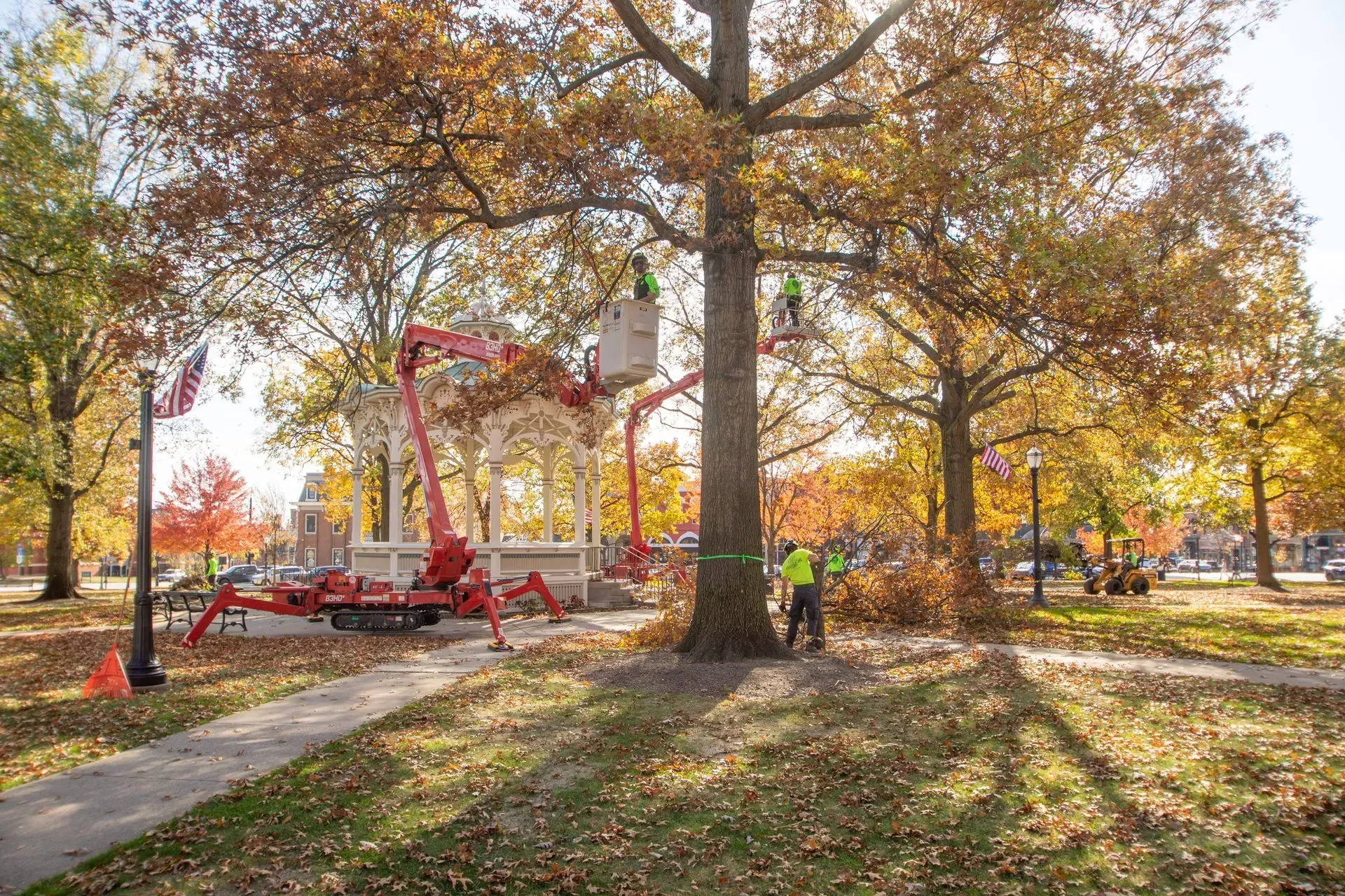 Tree trimming in a park with a red lift and workers wearing safety vests. Fall leaves, a gazebo visible.