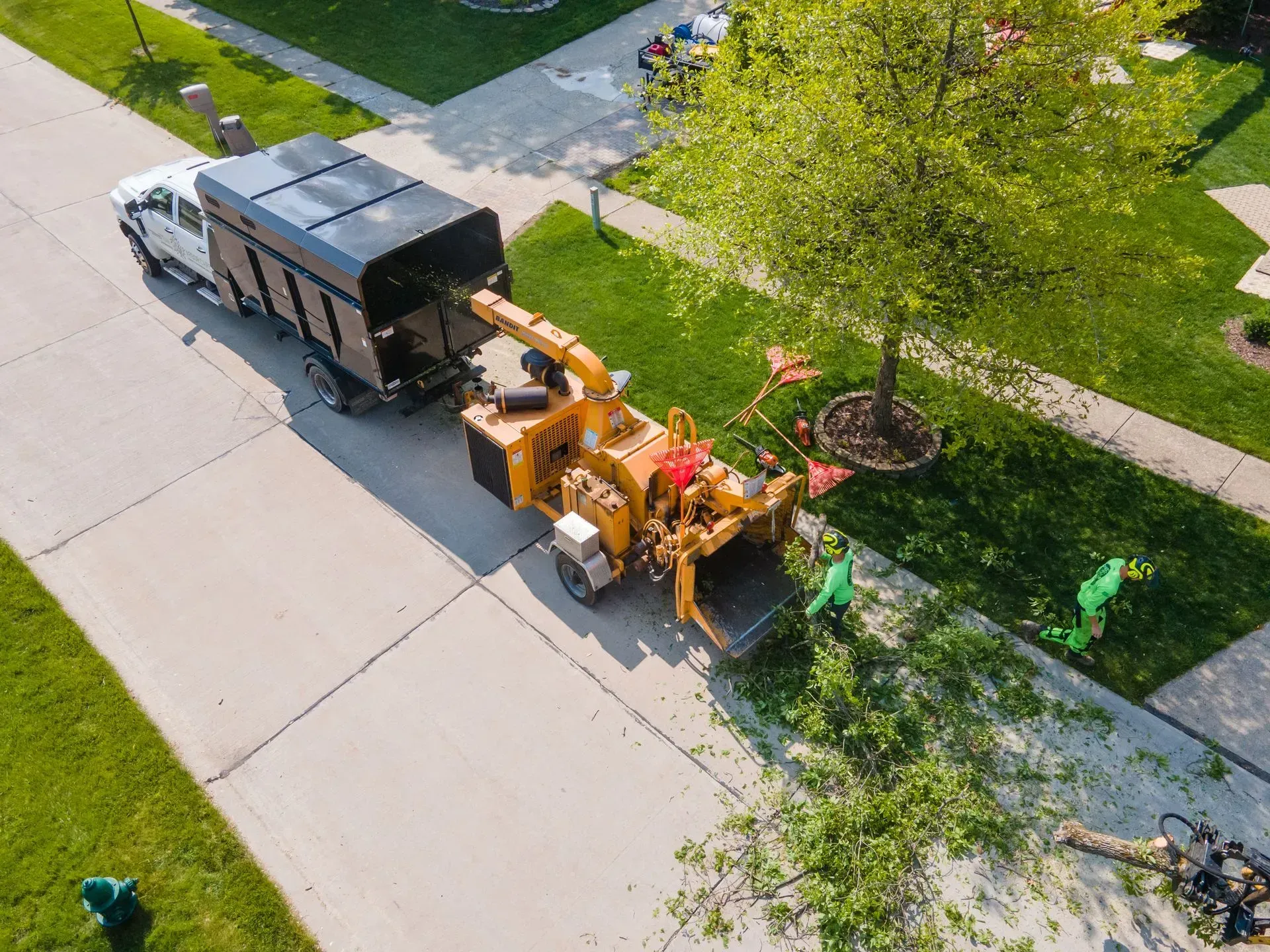 Tree service: chipper shredding branches into truck on a suburban street.