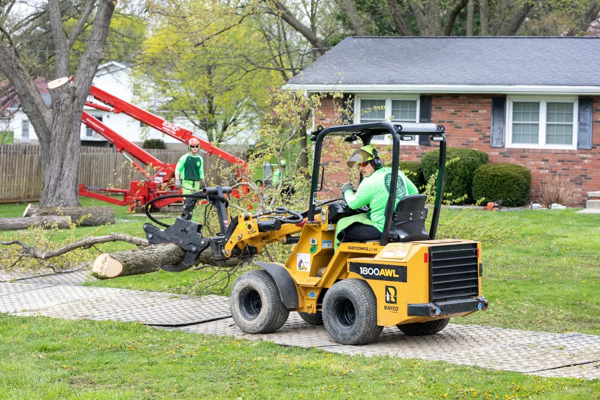 Yellow skid steer moving tree branch, worker in green shirt, residential setting.