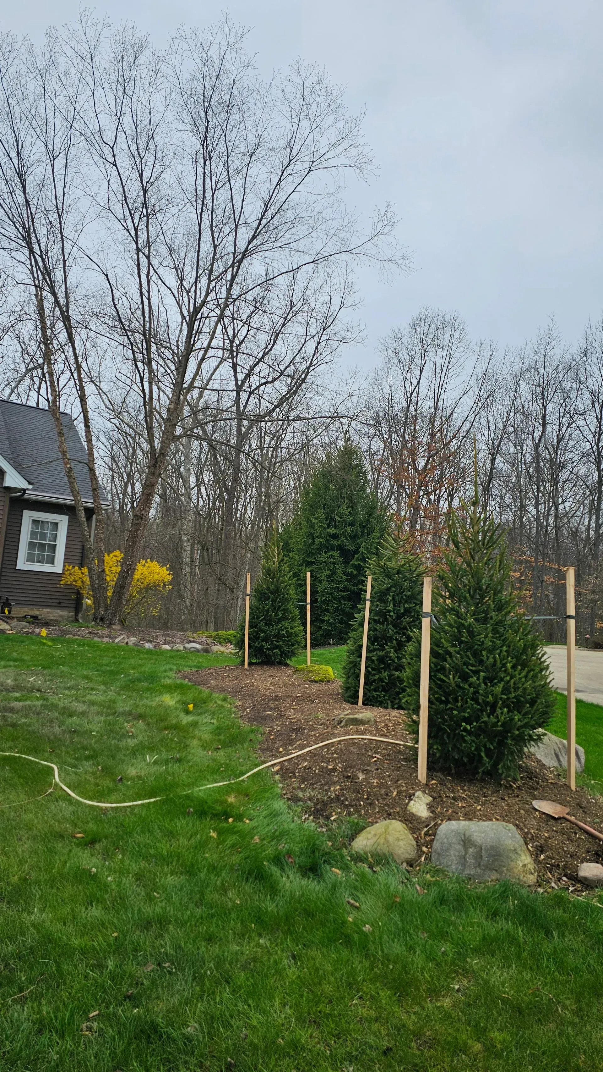 Green lawn slopes up to a garden bed with evergreen trees, mulch, and large rocks, under a cloudy sky.