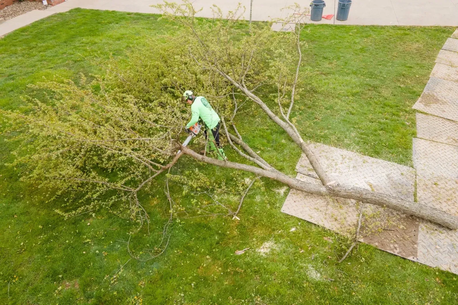 Person in green gear cutting fallen tree on green lawn with chainsaw.