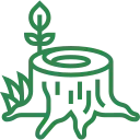 Stump grinder in action, grinding a tree stump into wood chips.