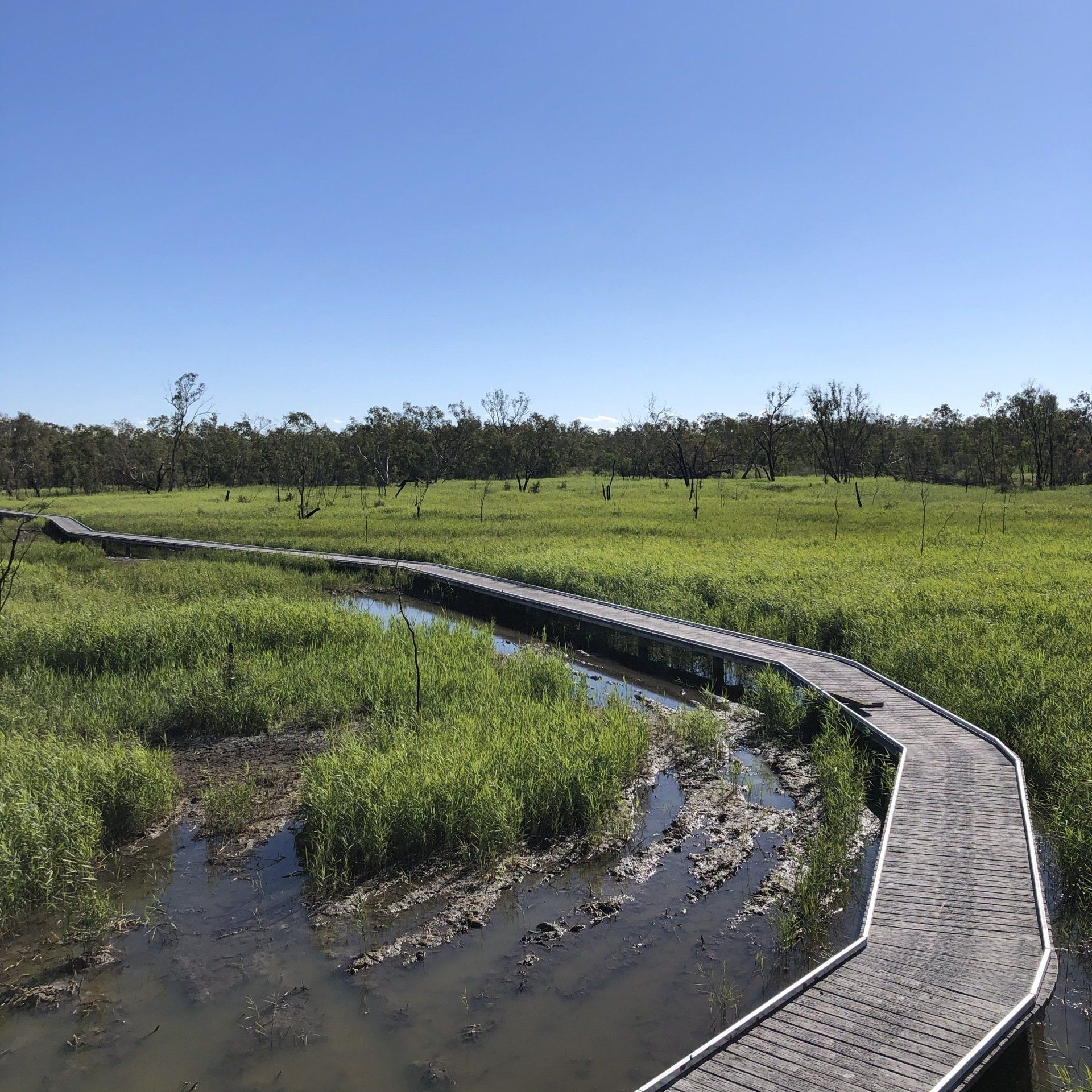 Foot bridge over wetlands - Building & Excavation in Narromine, NSW