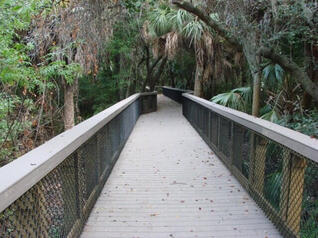 Alligator Creek Boardwalk After