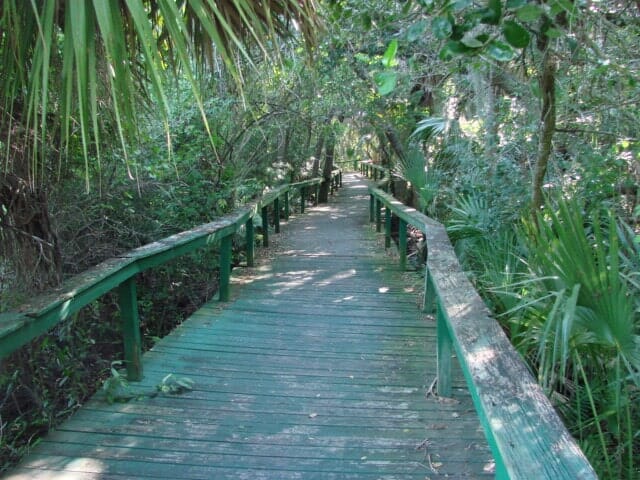 Alligator Creek Boardwalk Before