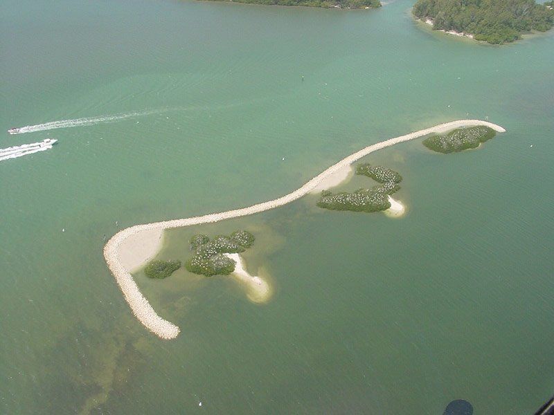 Bird Colony Key Sarasota