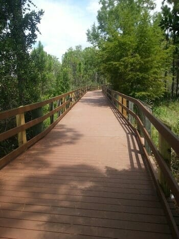 FGCU Pedestrian Bridge After
