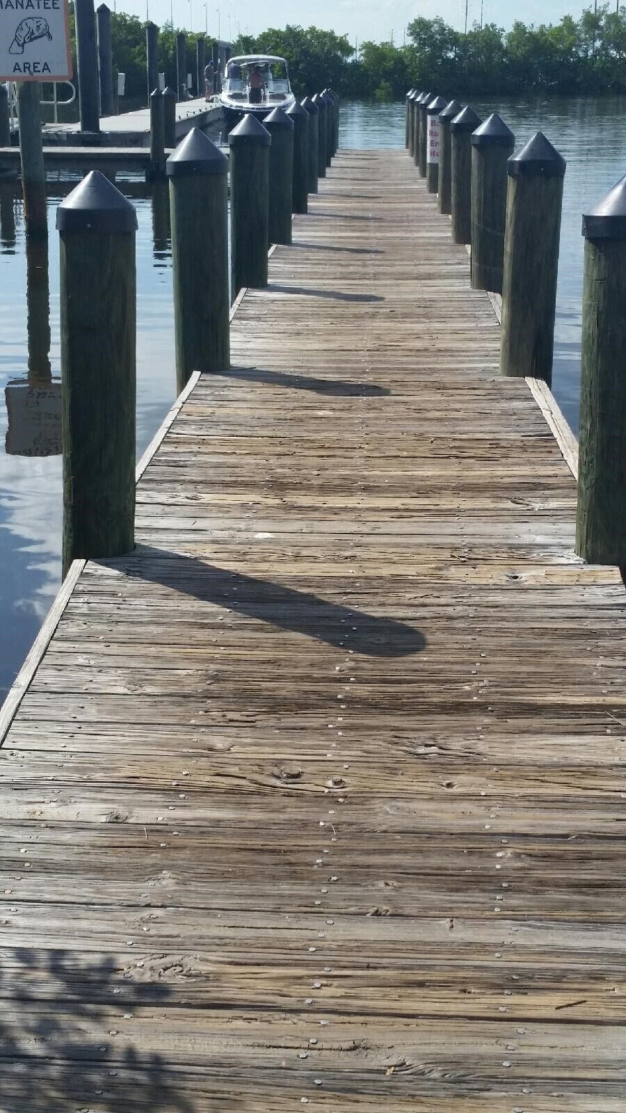 Laishley Dock Redecking Before
