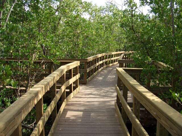 Ponce De Leon Nature Walk