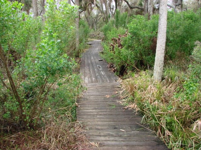 Ramblers Rest Boardwalk Before