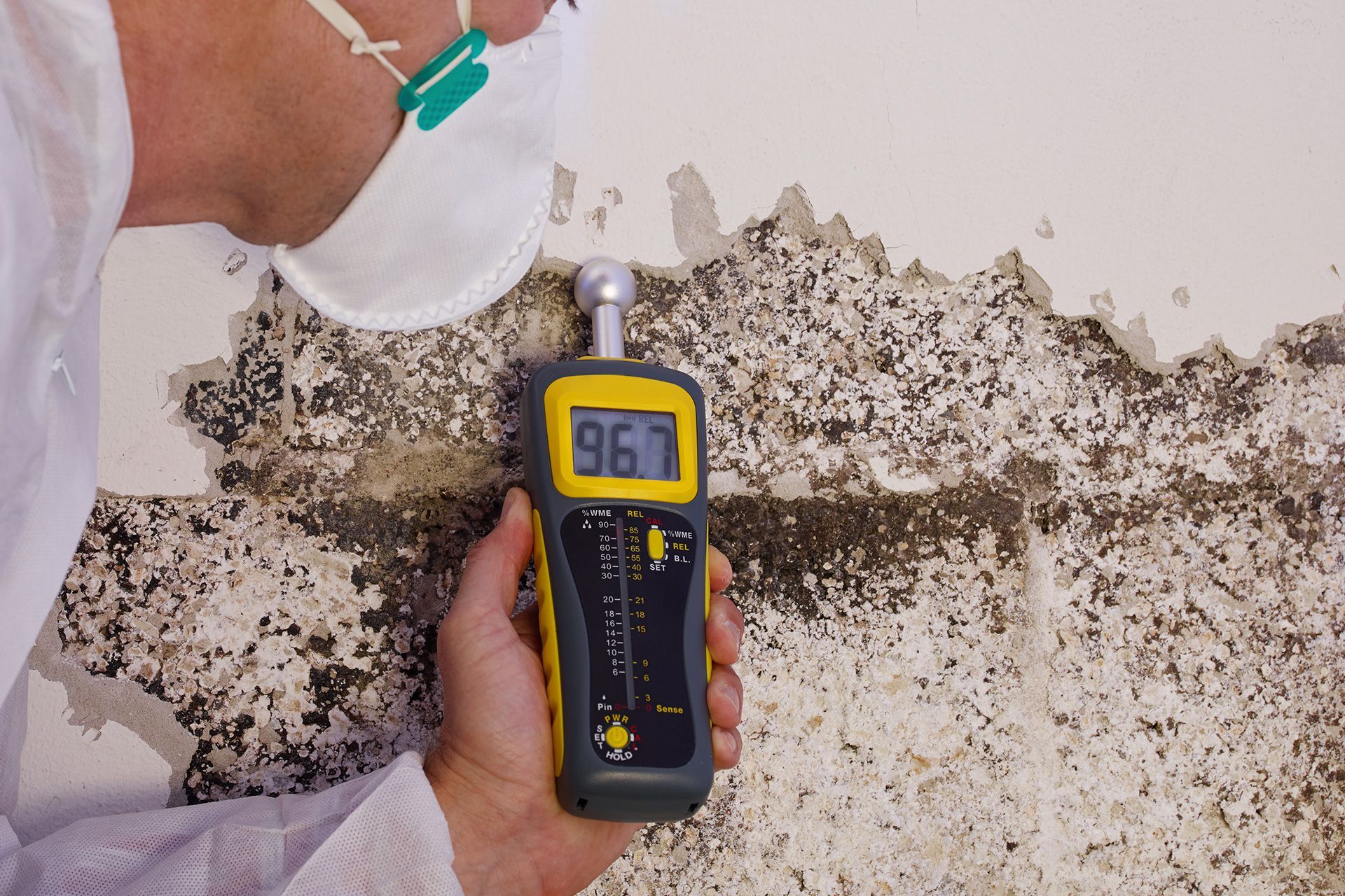 The mold inspection process showing expert checking home for hidden mold growth issues